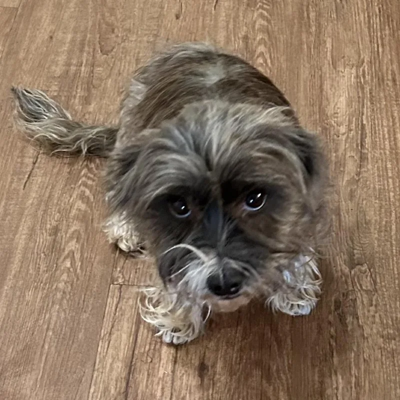 Ellise Renee thumbnail 2