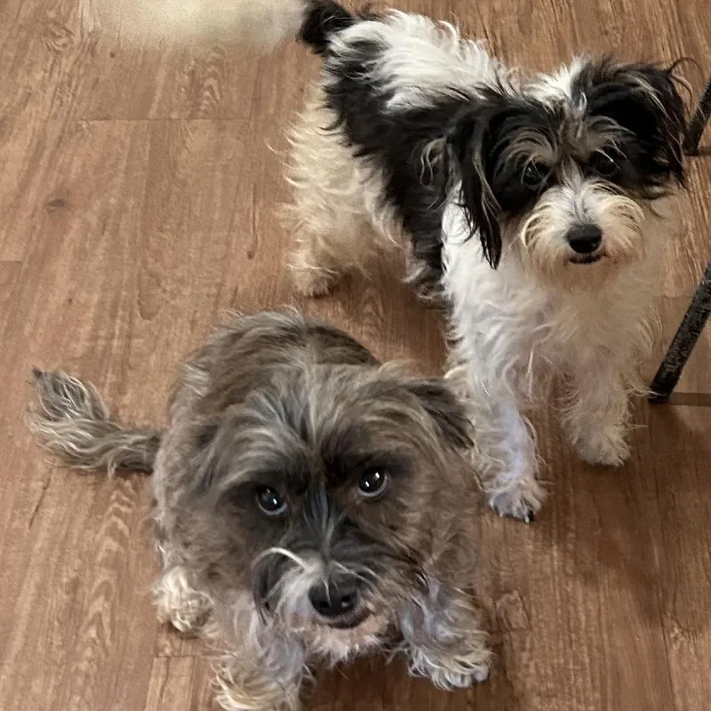 Ellise Renee thumbnail 3