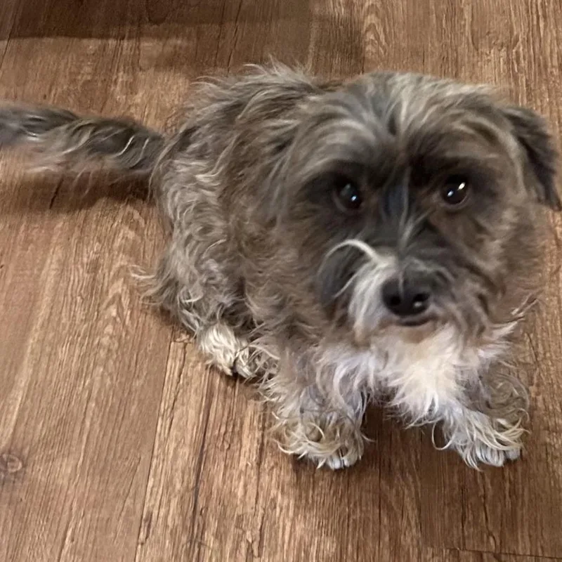 Ellise Renee thumbnail 4