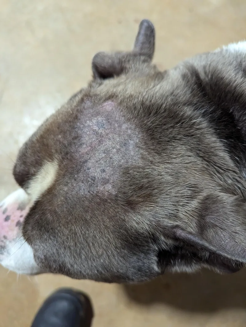 Mr. Worldwide thumbnail 3