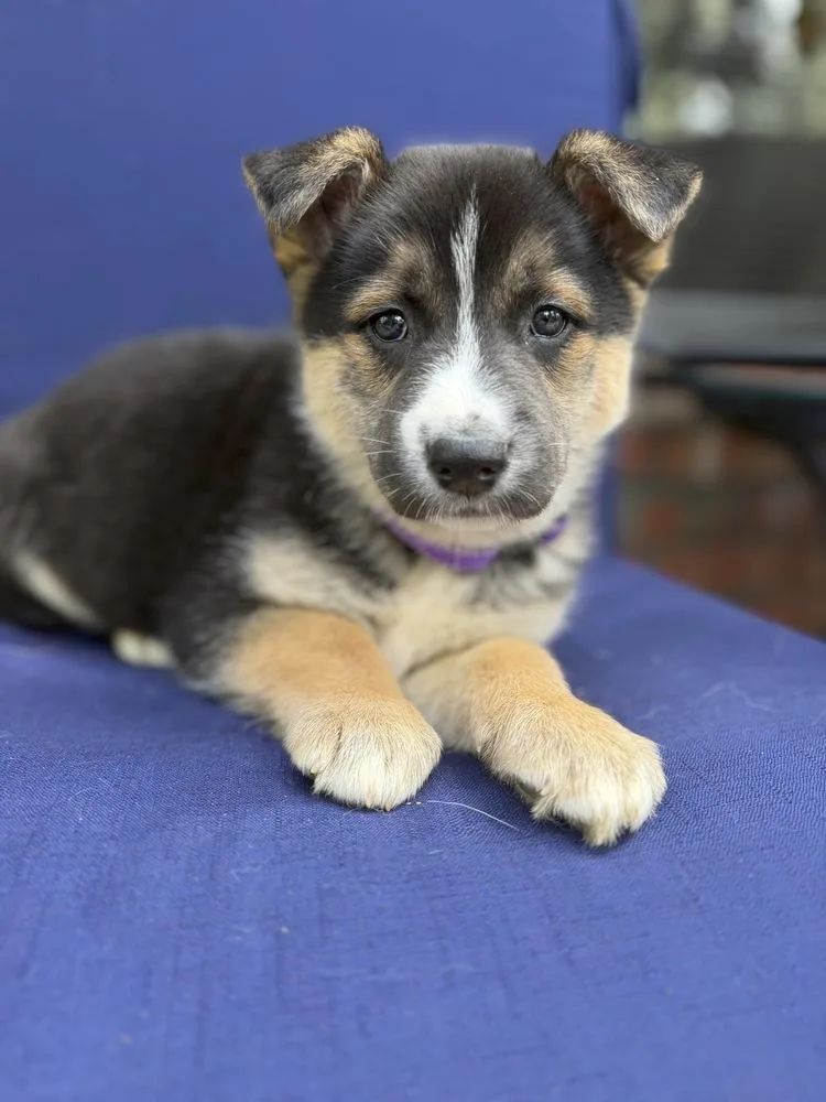 Taylor Swift thumbnail 5