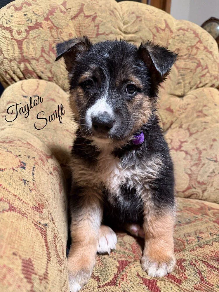 Taylor Swift thumbnail 6