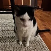 Nicholas thumbnail 3