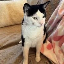 Nicholas thumbnail 4