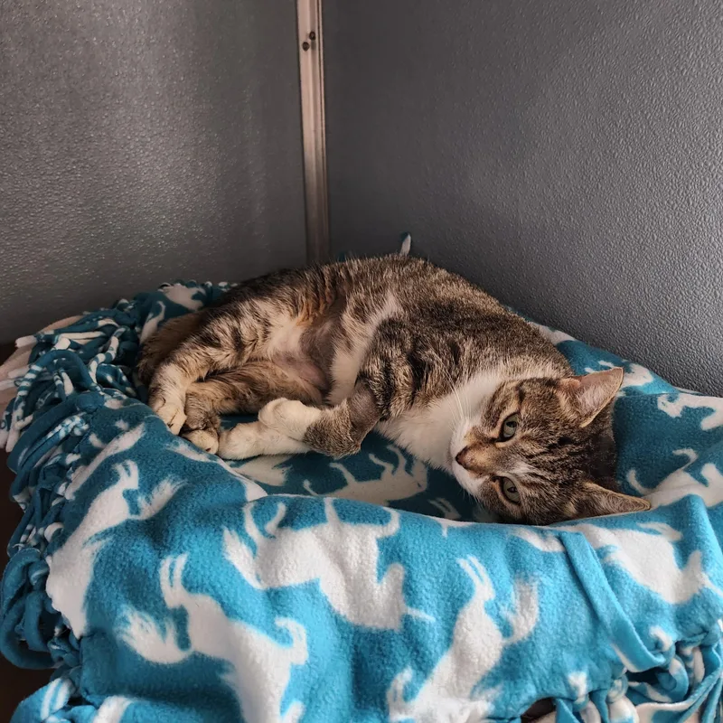 Cruella De Vil thumbnail 3