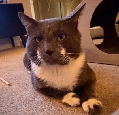 Jack May thumbnail 3