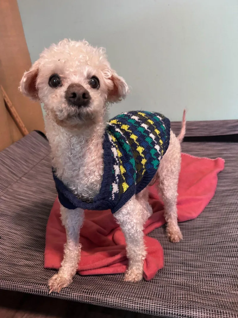 Jacy Jan thumbnail 2