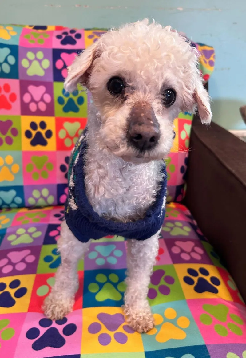 Jacy Jan thumbnail 3