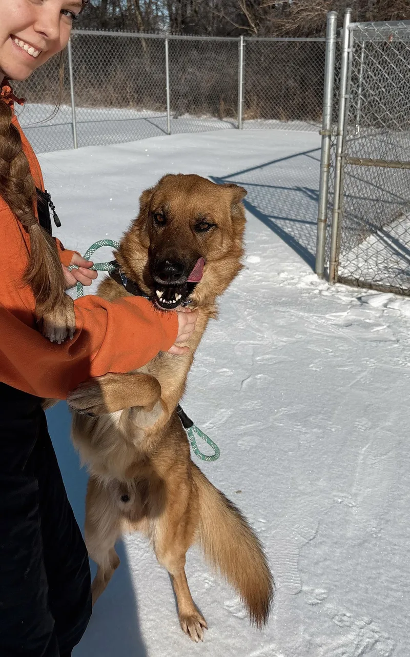 Dr. Johns thumbnail 2