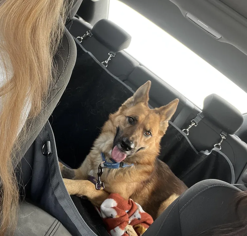 Dr. Johns thumbnail 3