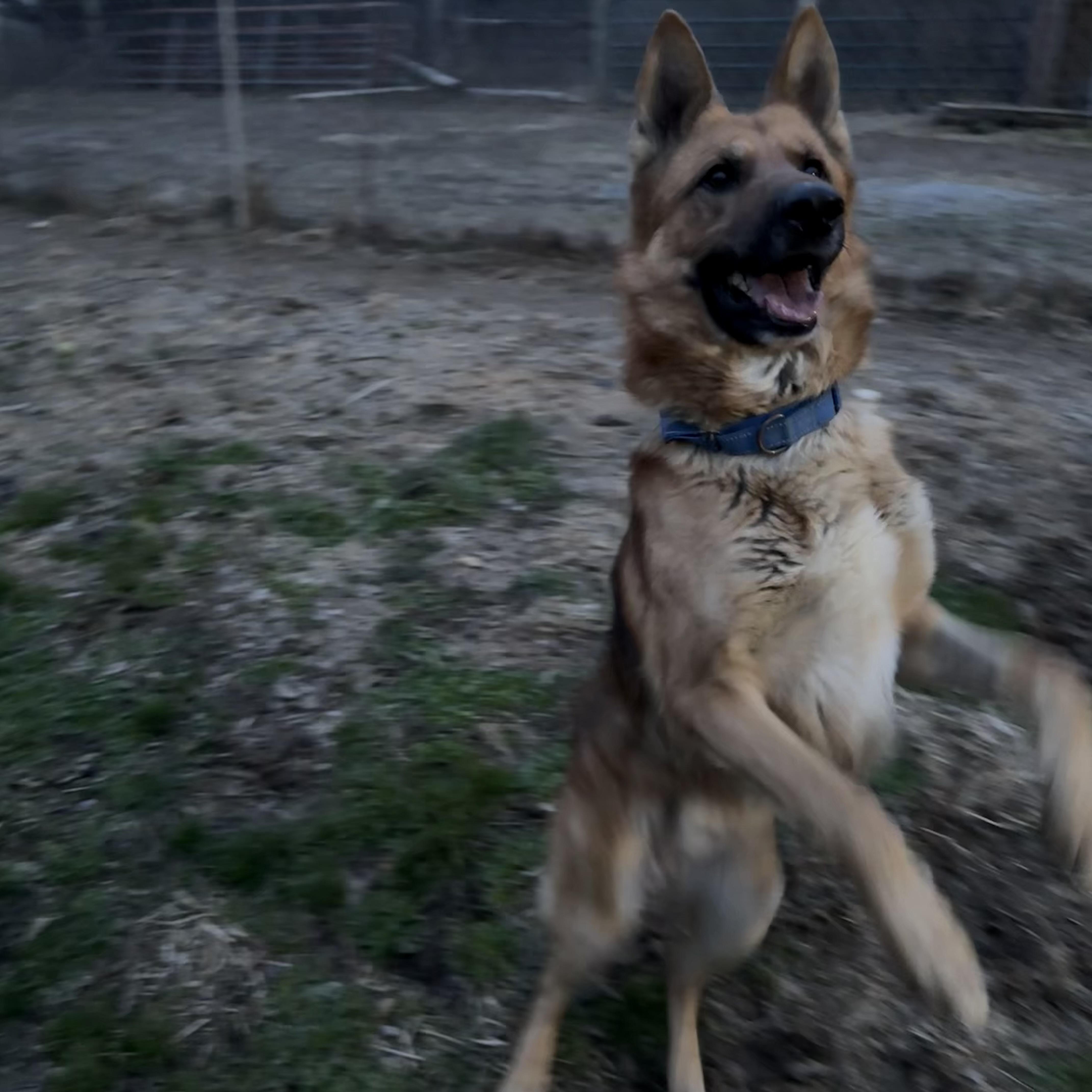 Dr. Johns thumbnail 5