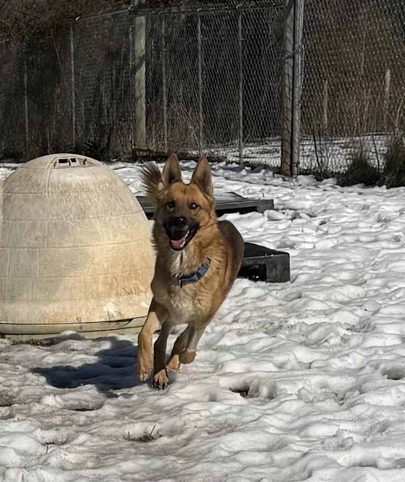 Dr. Johns thumbnail 6