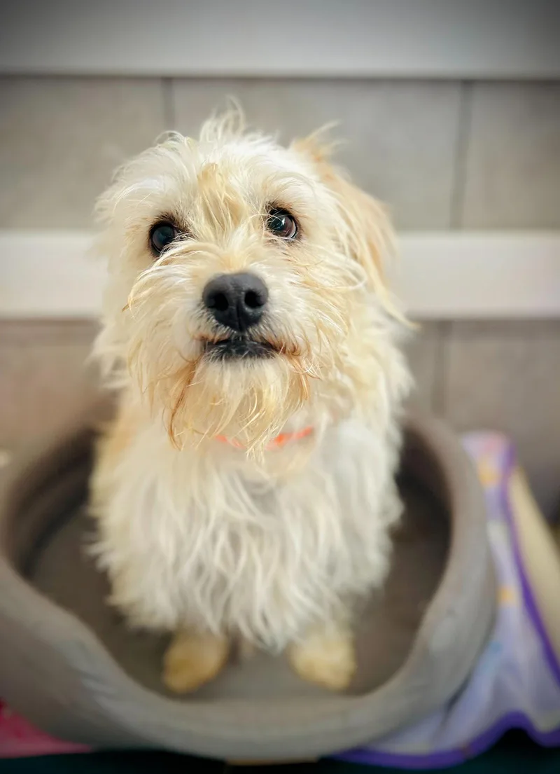 Sunny Jan thumbnail 2