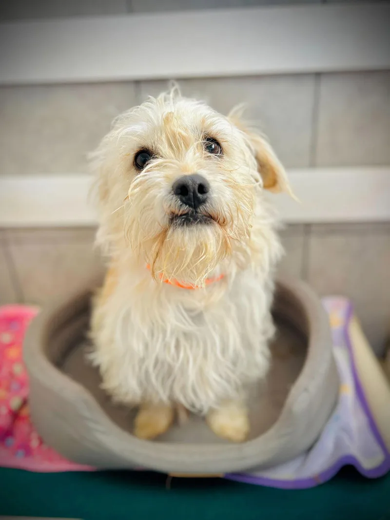 Sunny Jan thumbnail 3