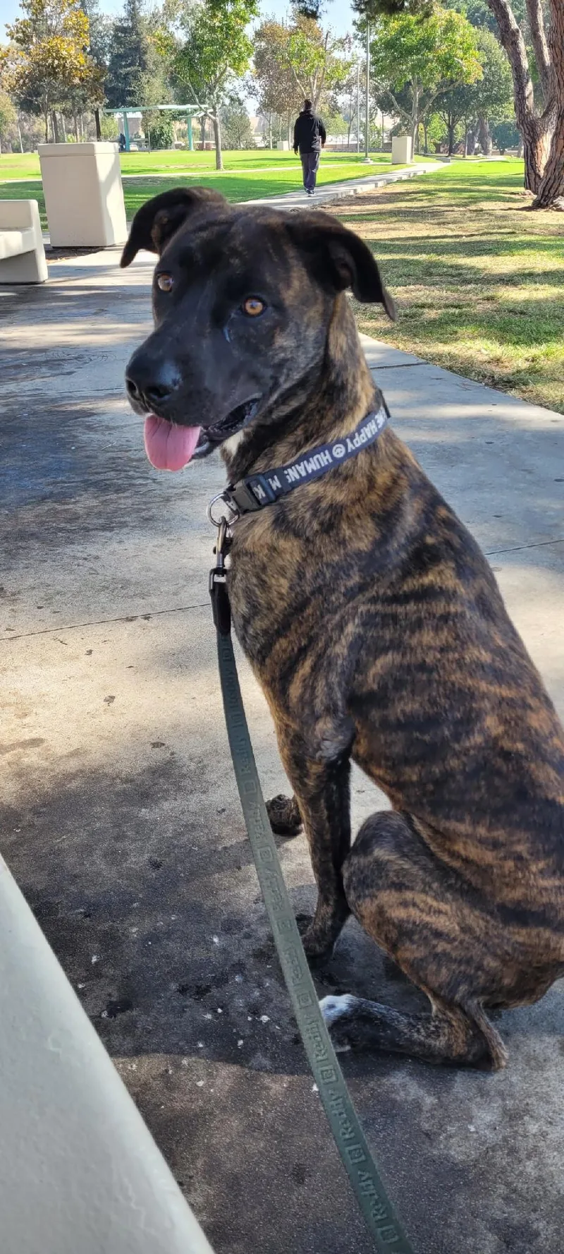 Beef!! Where's The Beef? thumbnail 3