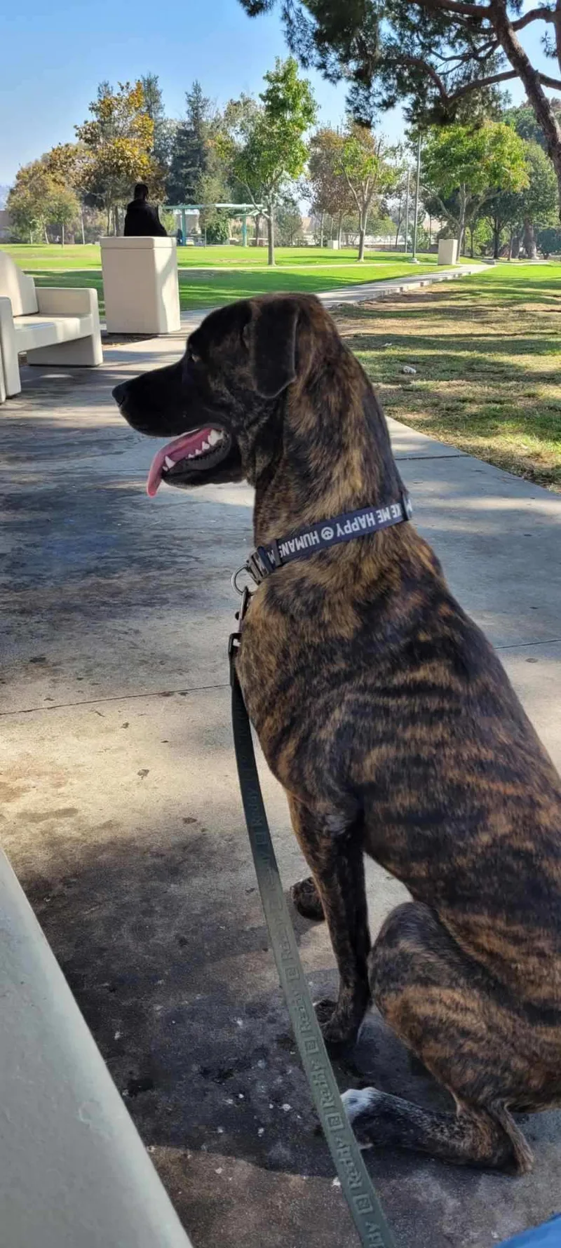 Beef!! Where's The Beef? thumbnail 4