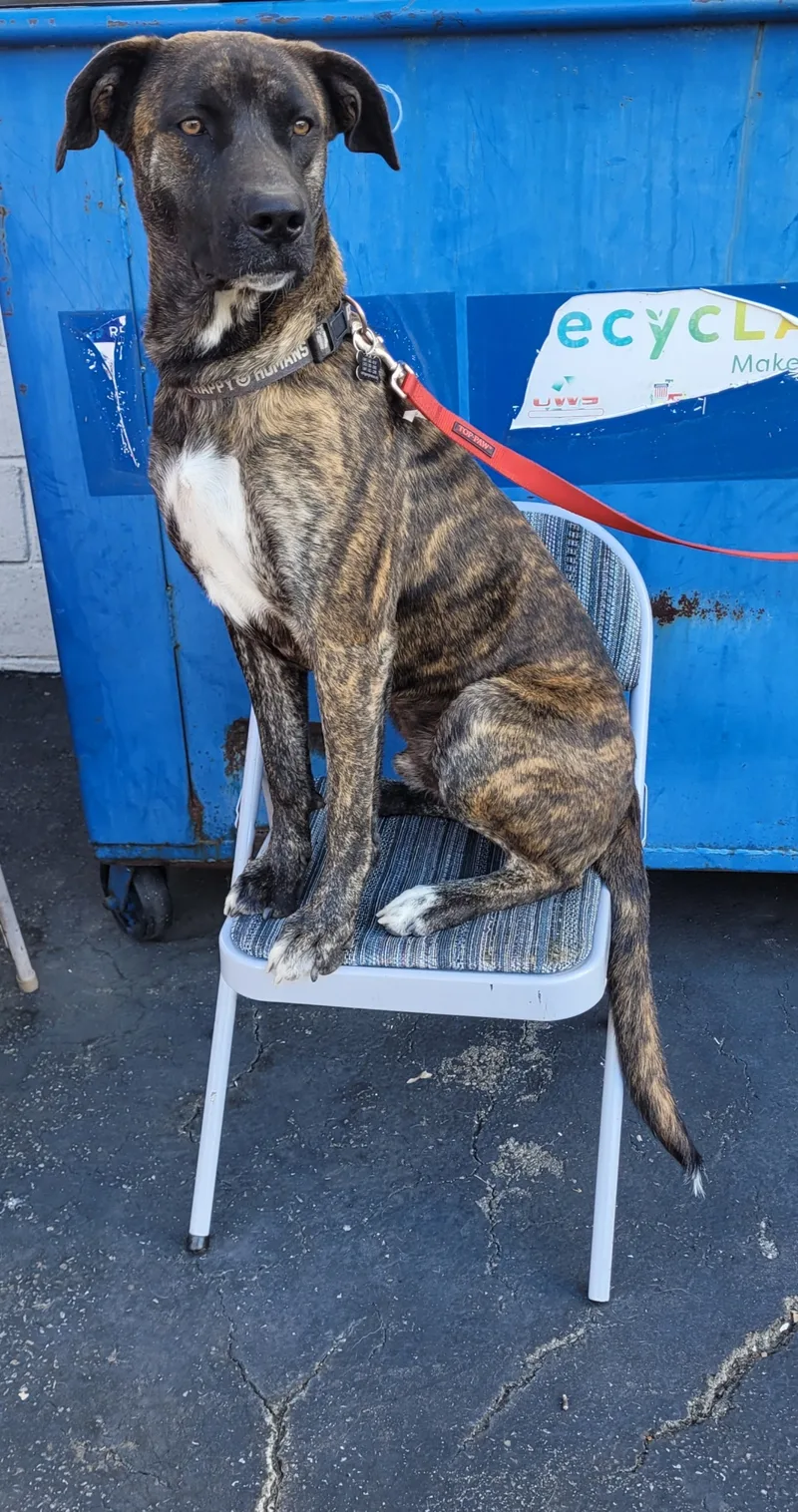 Beef!! Where's The Beef? thumbnail 5