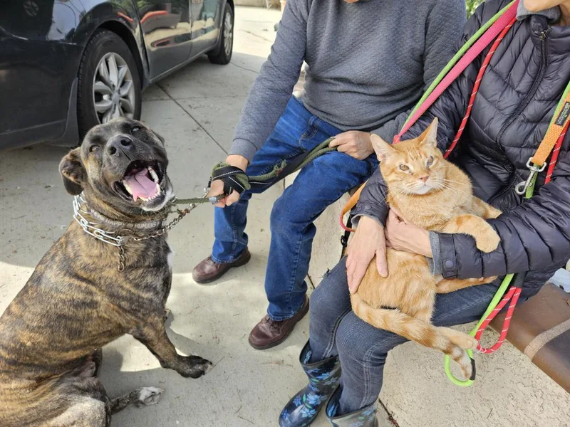 Beefcake Beef!! thumbnail 2