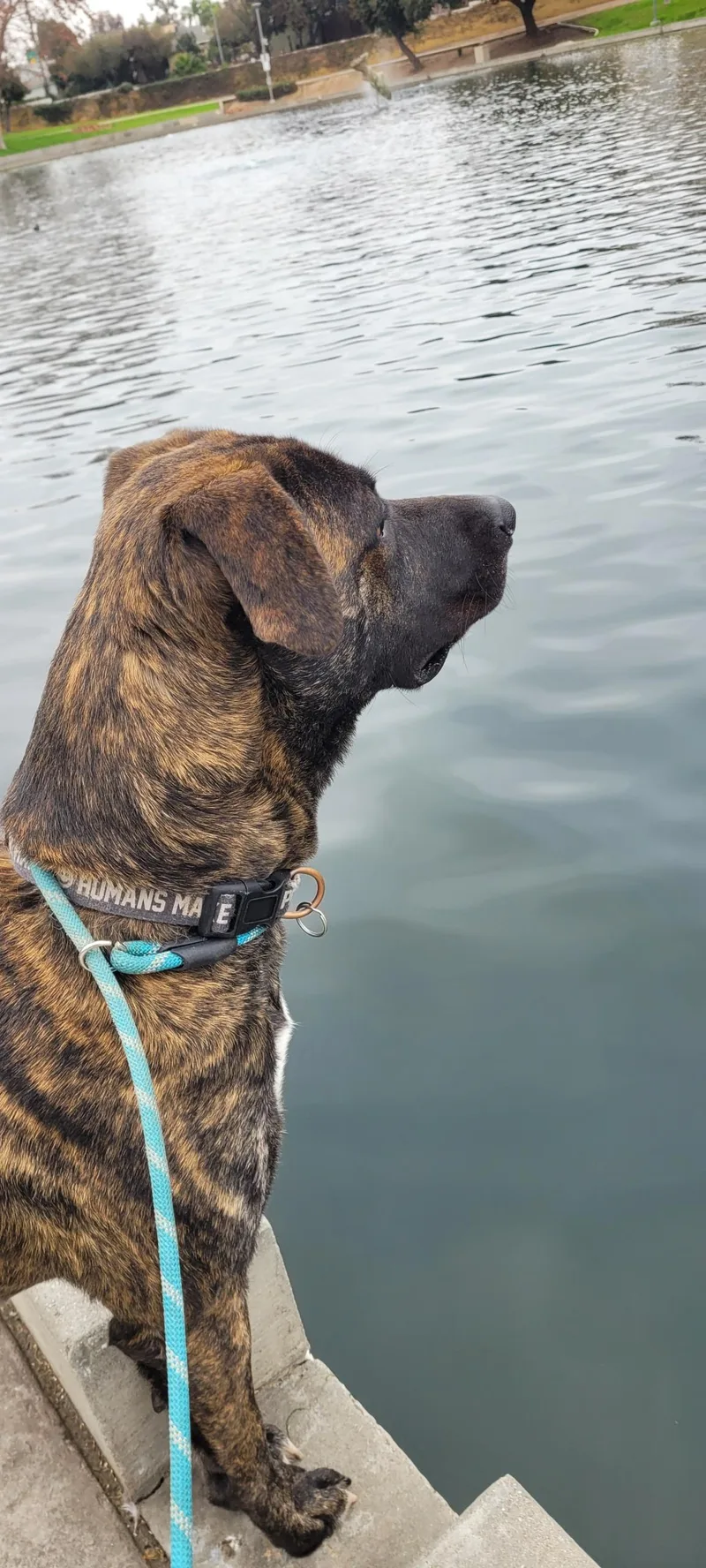 Beefcake Beef!! thumbnail 3