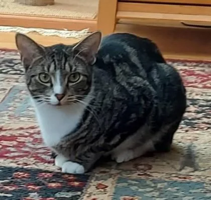 Butter Pecan Clarkson