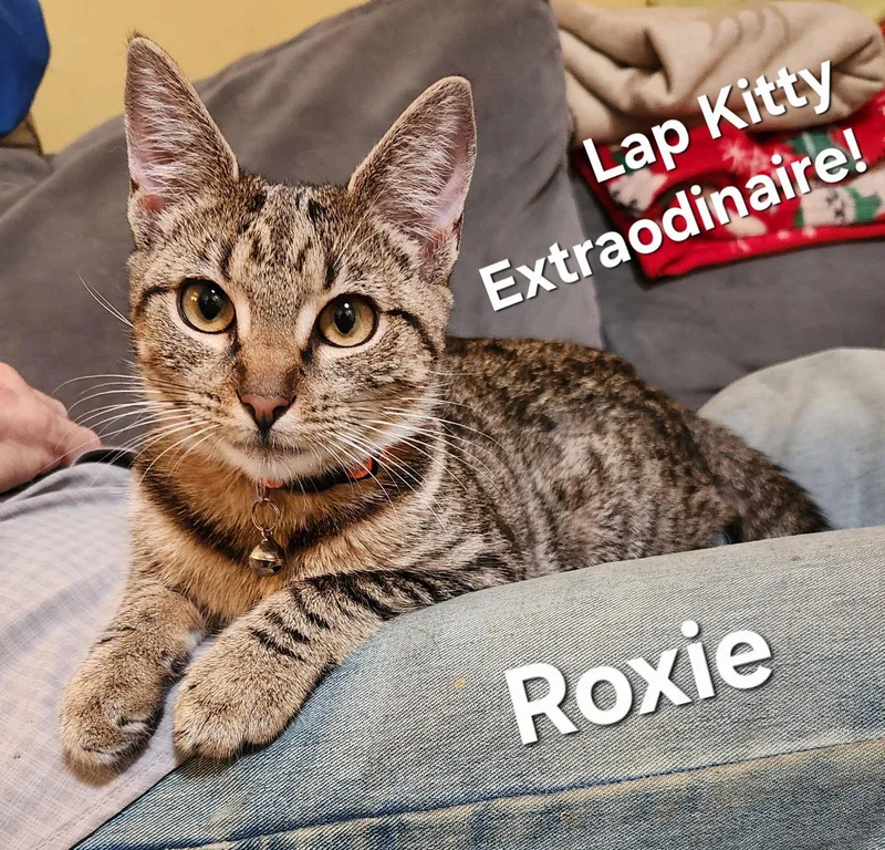 Roxie