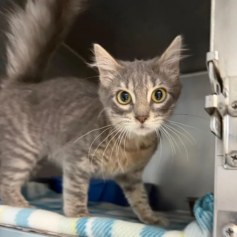 Minnie Aka Eliza thumbnail 2