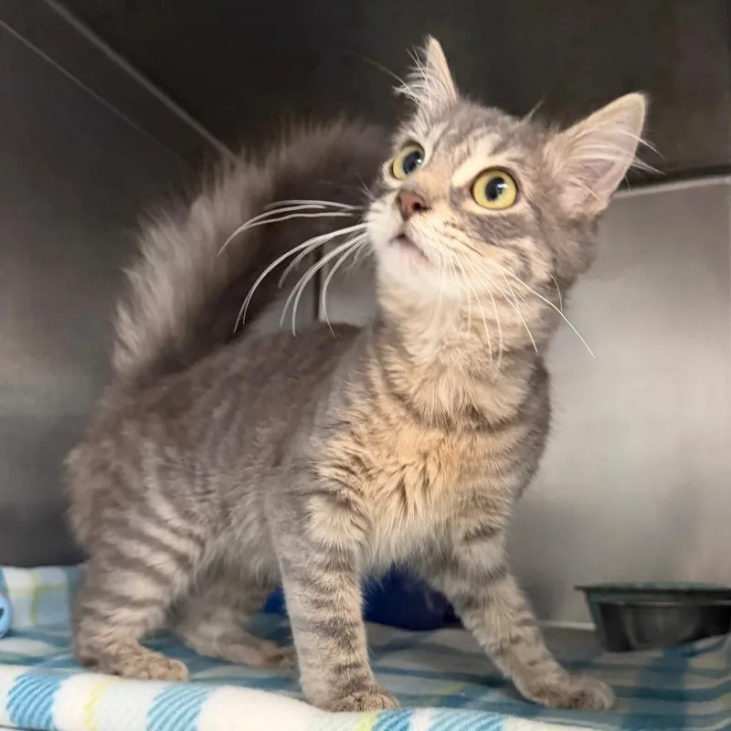 Minnie Aka Eliza thumbnail 3