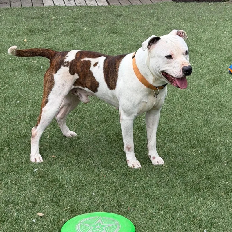 Itty Bitty thumbnail 2