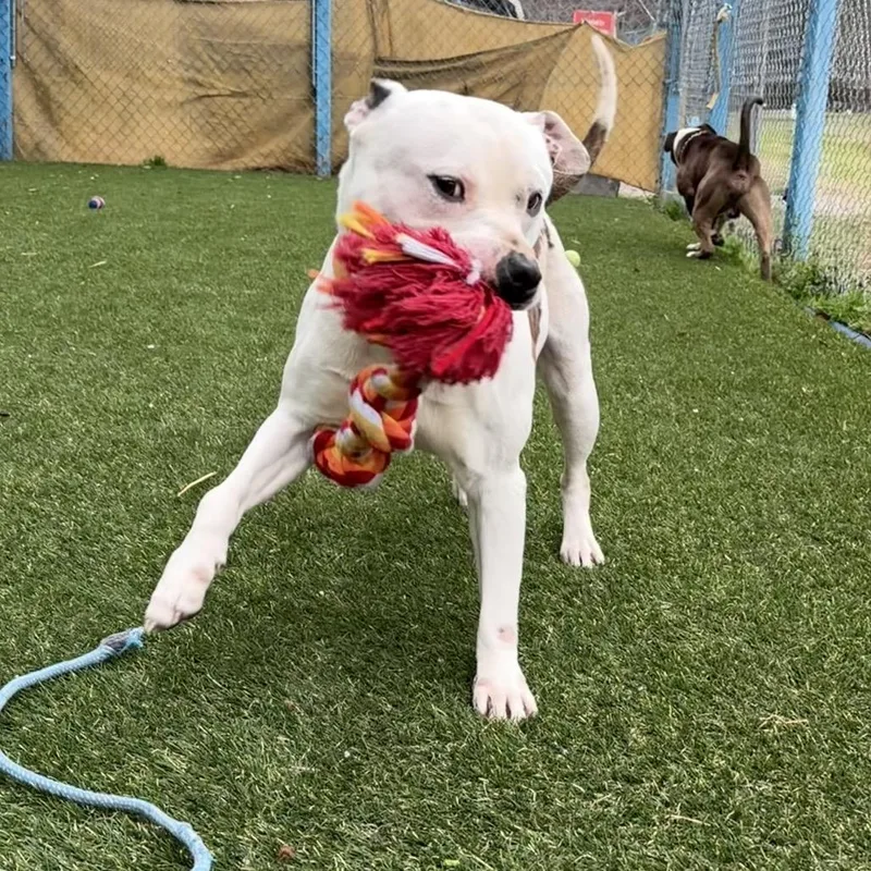 Itty Bitty thumbnail 3