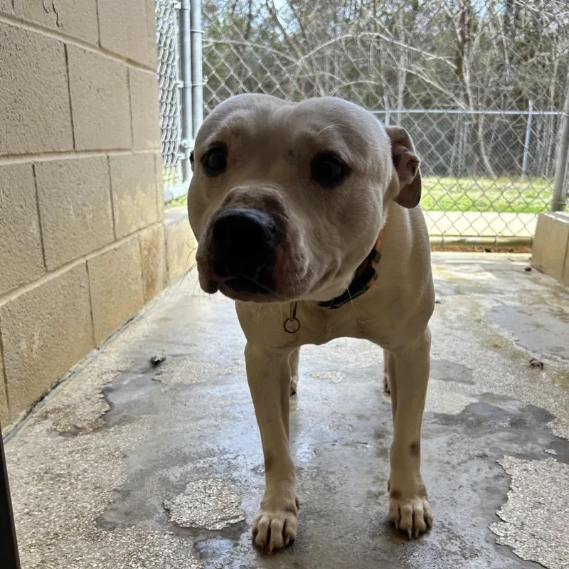 Itty Bitty thumbnail 4