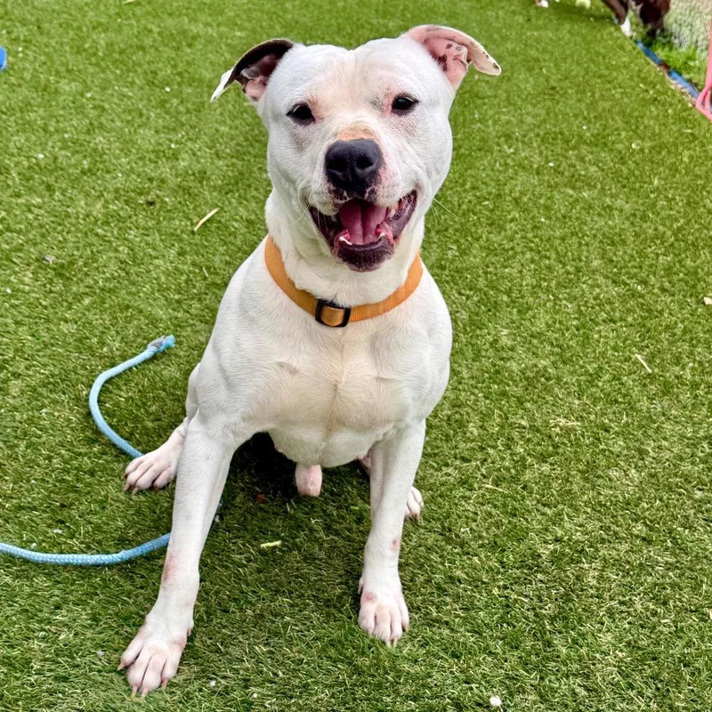 Itty Bitty thumbnail 5