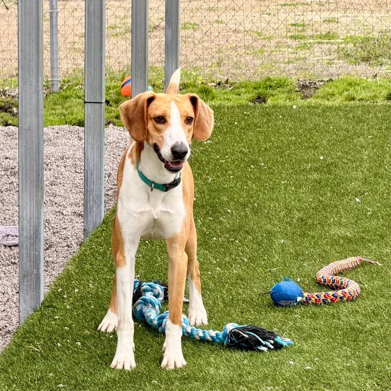 P. Sherman thumbnail 2