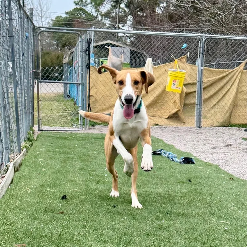 P. Sherman thumbnail 3