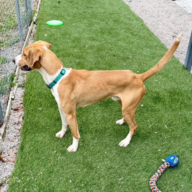 P. Sherman thumbnail 4