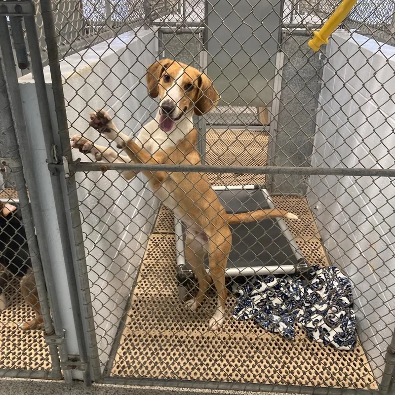 P. Sherman thumbnail 5