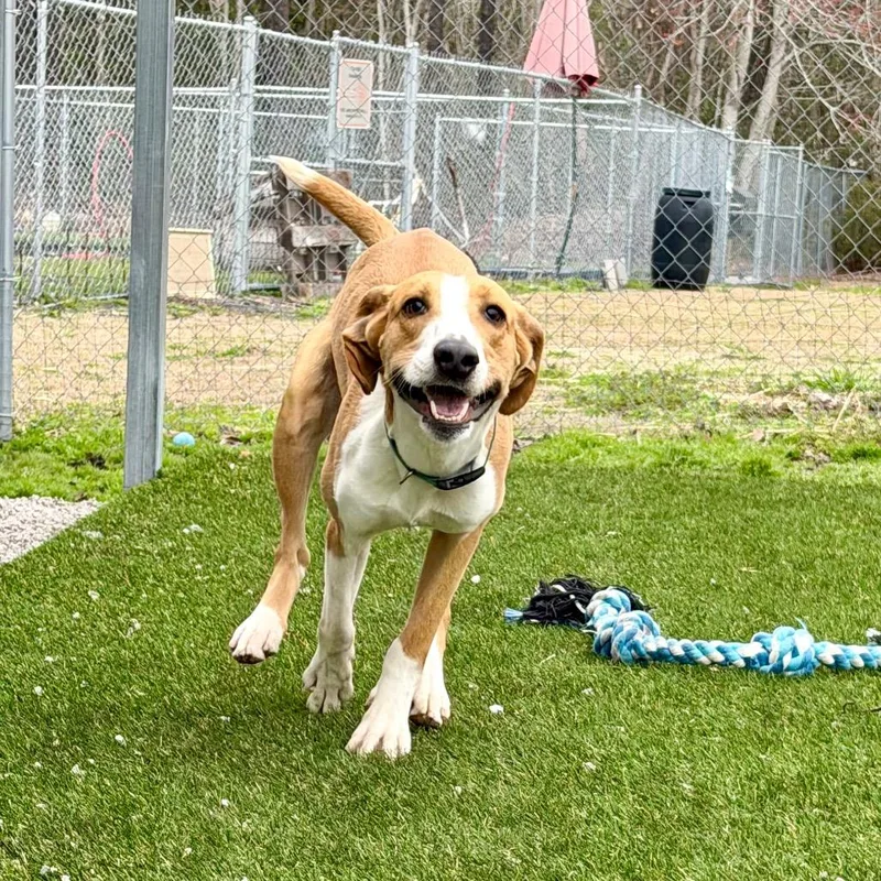 P. Sherman thumbnail 6