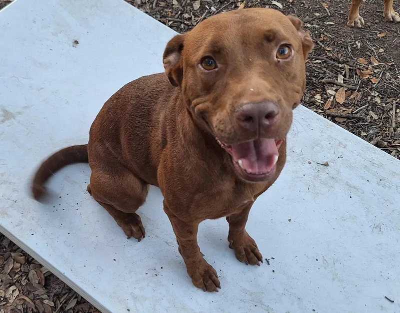 Mellow And Canela thumbnail 6