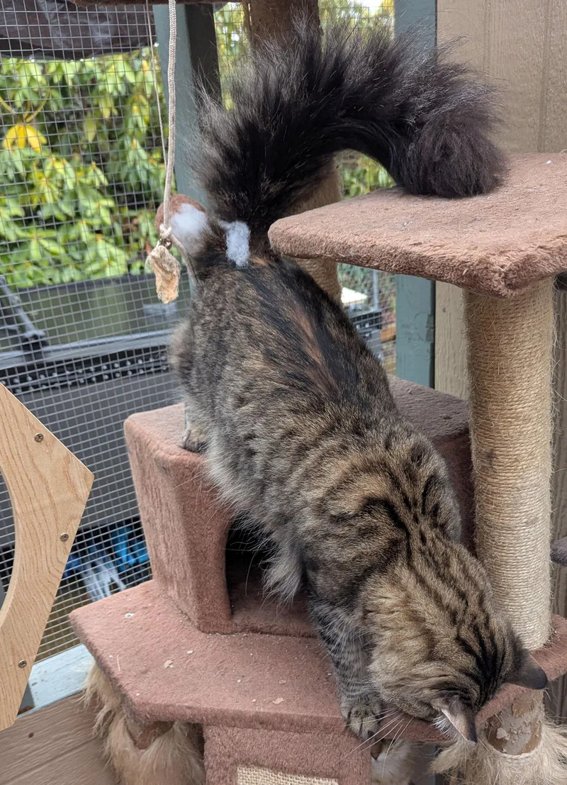 Miller  &  thumbnail 3