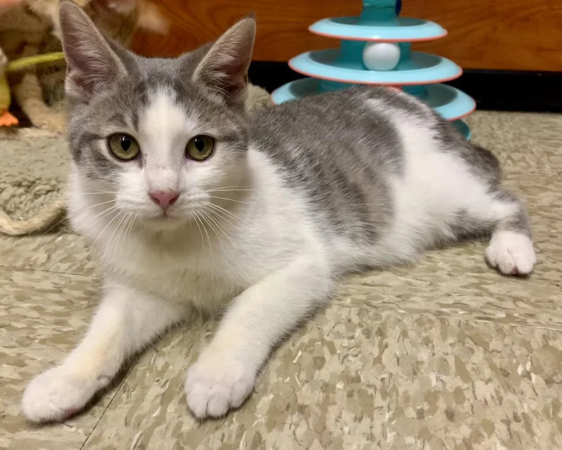 Buttons & Russell  thumbnail 4