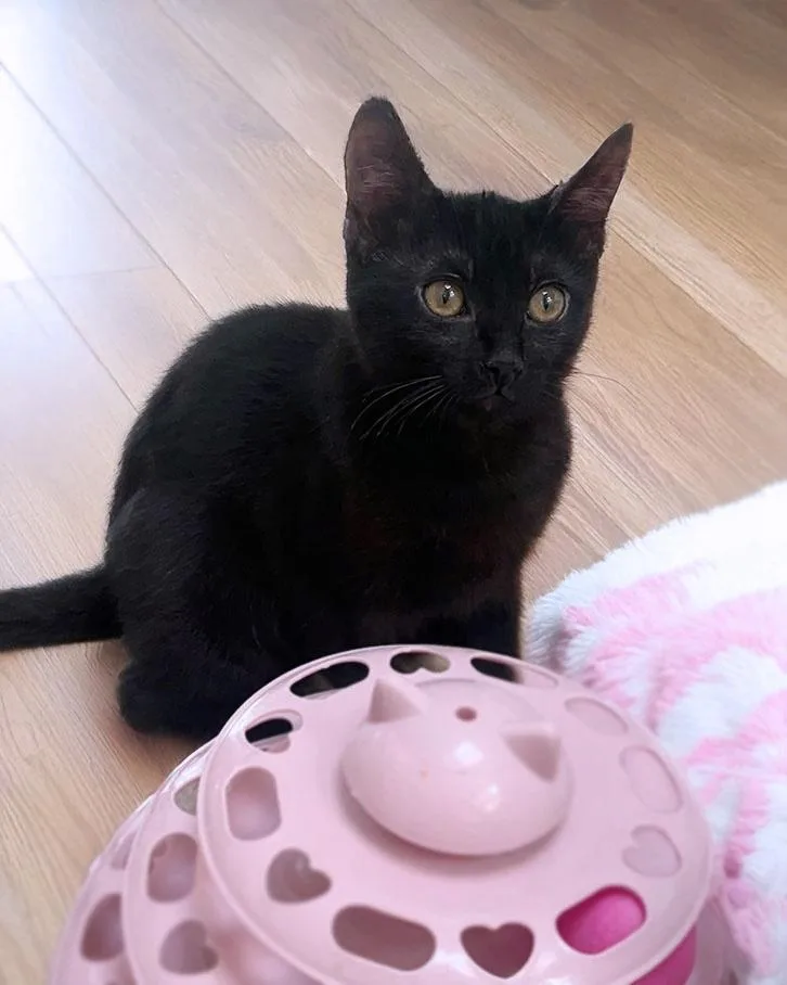 Clea Sophia thumbnail 4