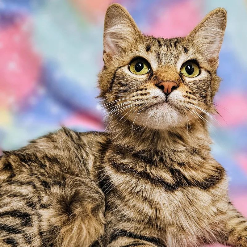 Gracie  Rancho Cucamonga thumbnail 2