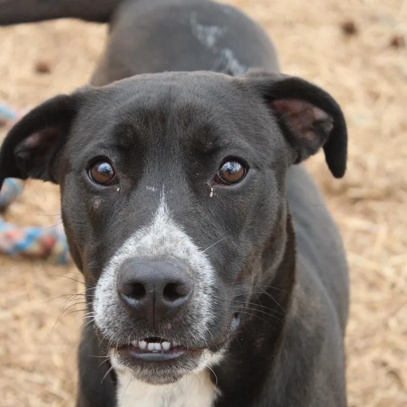 Lilly Pepper thumbnail 2