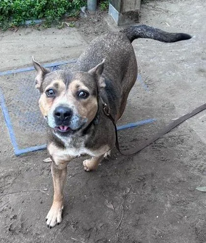 Lady Bug thumbnail 3