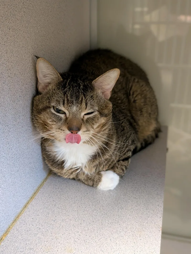 Fredrick thumbnail 2