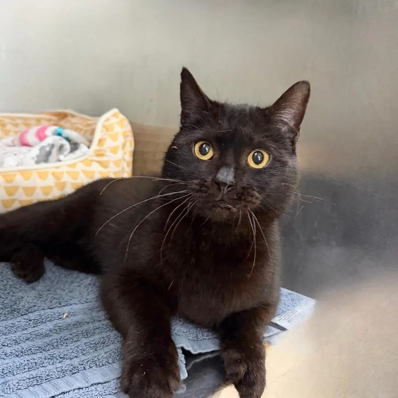 Guinness thumbnail 6