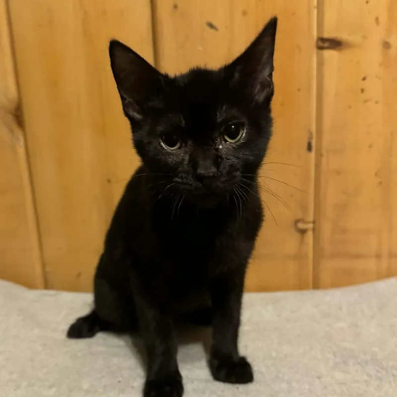 Johnathon thumbnail 3