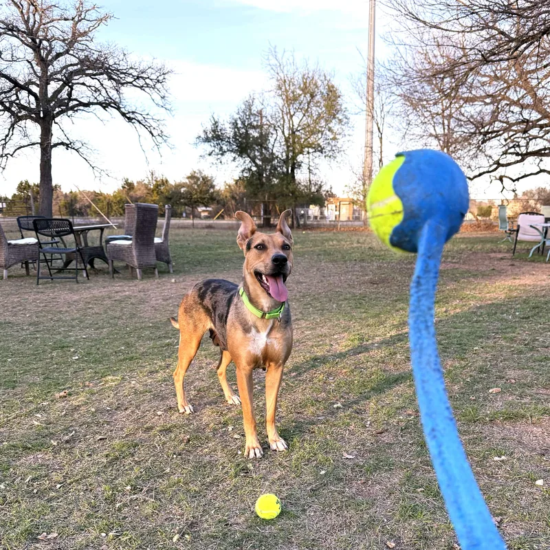 Juice Box thumbnail 3