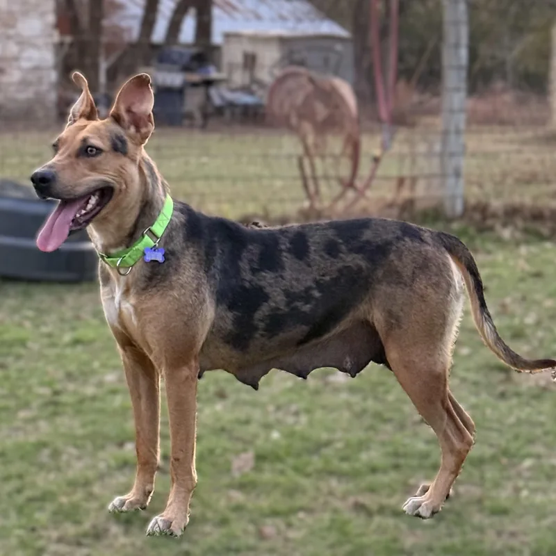 Juice Box thumbnail 4