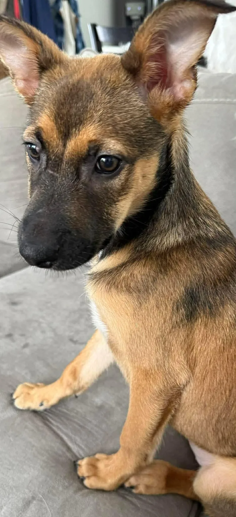 Stevie Nicks thumbnail 3