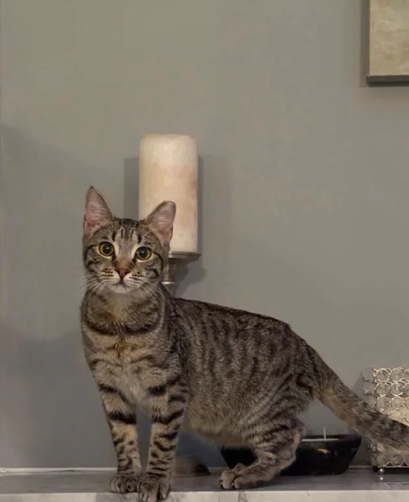 In Ne Local  thumbnail 2